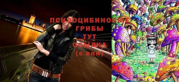 индика Кинешма