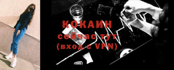 индика Кинешма