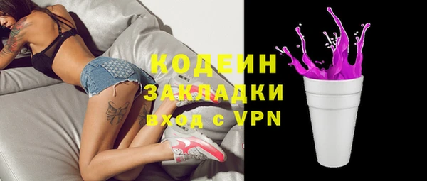индика Кинешма