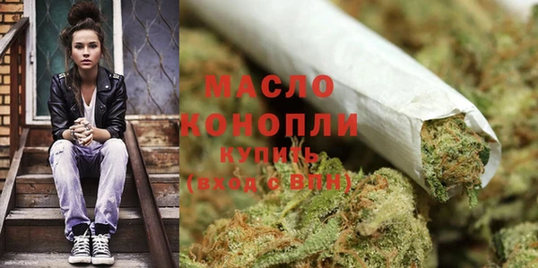 индика Кинешма