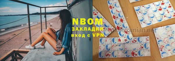 индика Кинешма