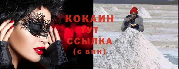 индика Кинешма