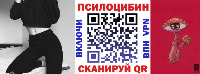 Галлюциногенные грибы Psilocybe  Колпашево 
